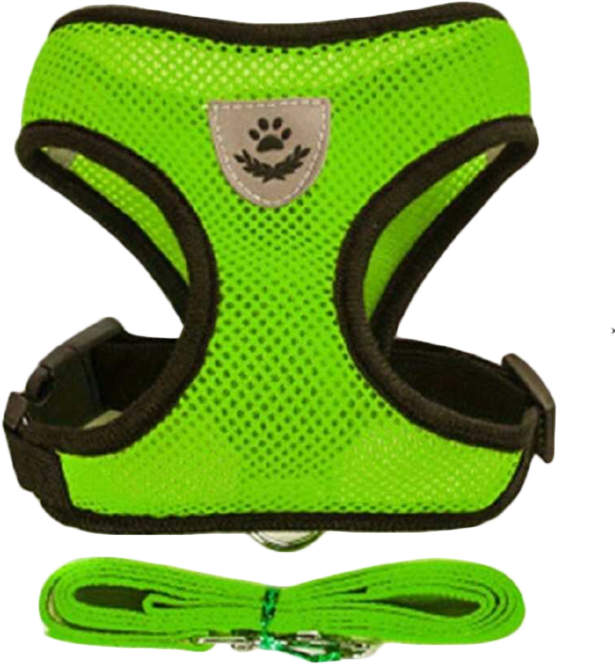 PECHERAS PARA MASCOTA CON TALLAS CHICA, MEDIANA, GRANDE Y EXTRA GRANDE CON 1 PZ O CAJA CON 480 PZS